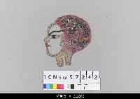 藏品(中國湖北皮影戲偶頭-生)的圖片